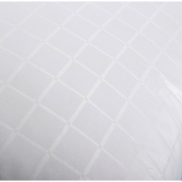 The Antibacterial Pillow The Antibacterial Pillow